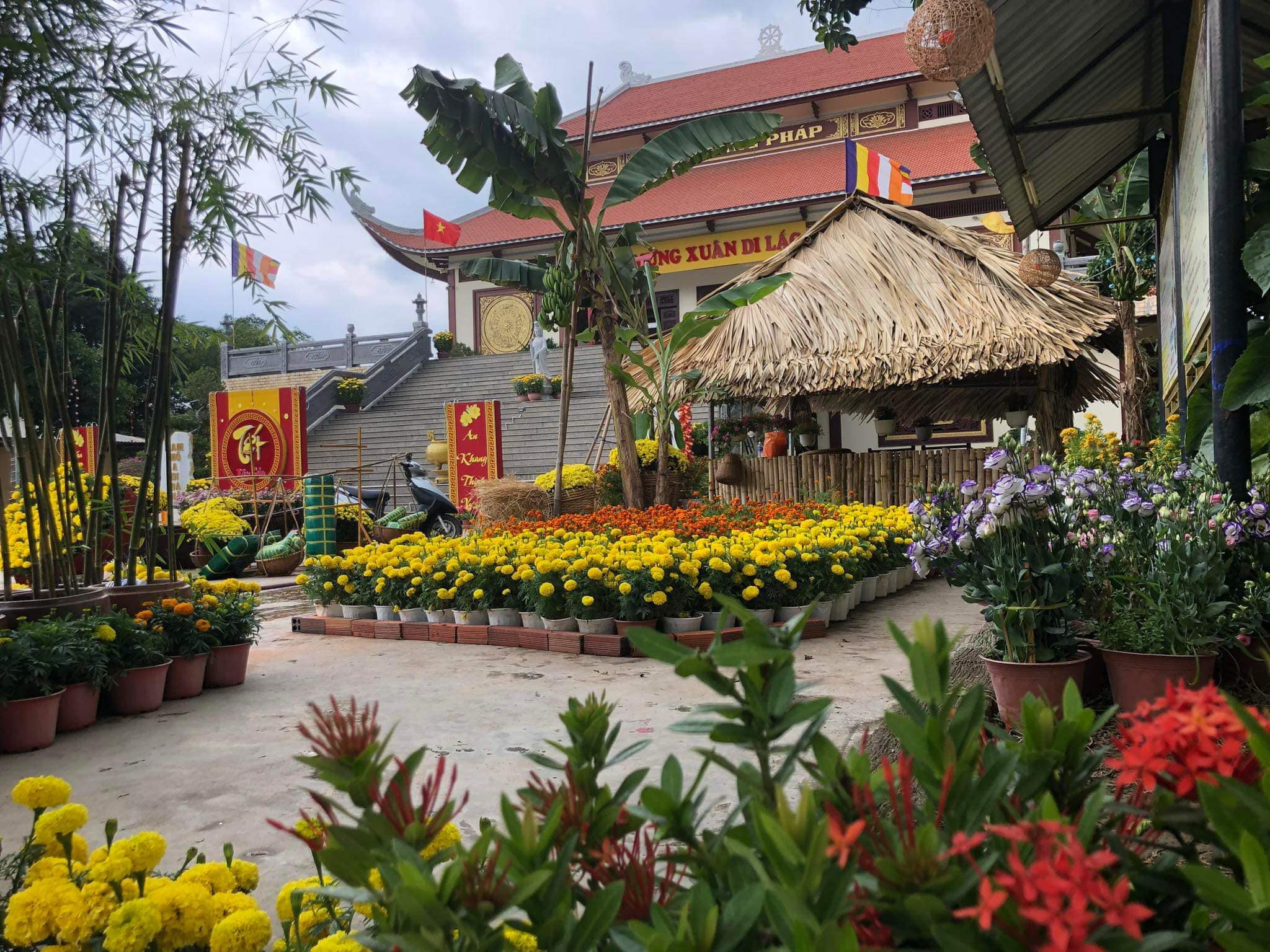 Phật giáo đồng hành cùng xã hội hôm nay